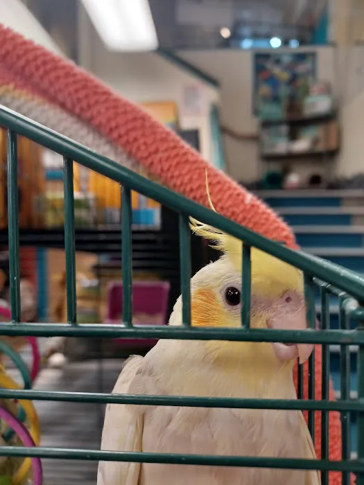 The Pet Works Picture 10