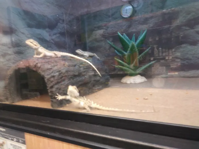 Petco Picture 5