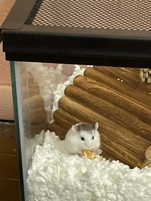 Petco Picture 6