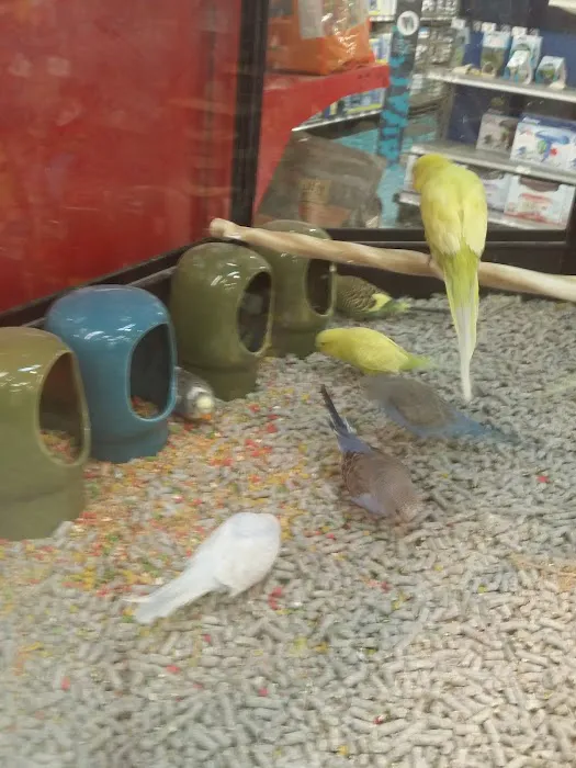 Petco Picture 3