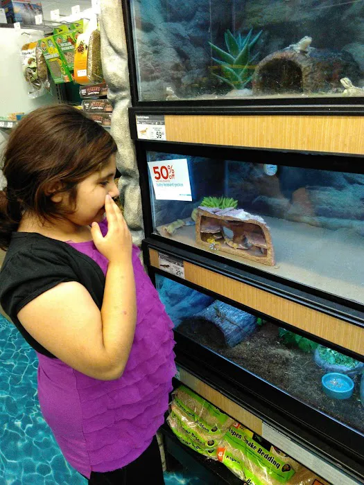 Petco Picture 8