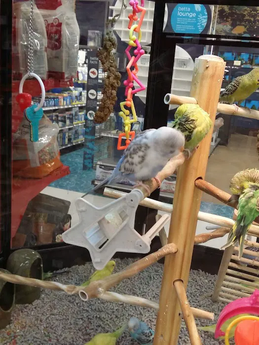 Petco Picture 10