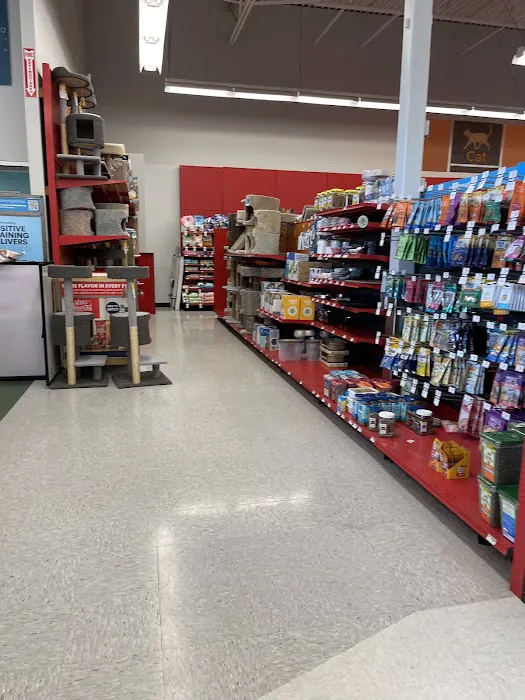 Petco Picture 9