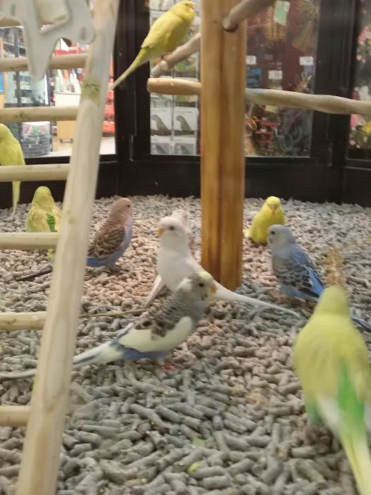 Petco Picture 2
