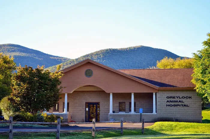 Greylock Animal Hospital Picture 5