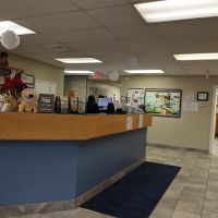 Greylock Animal Hospital ico