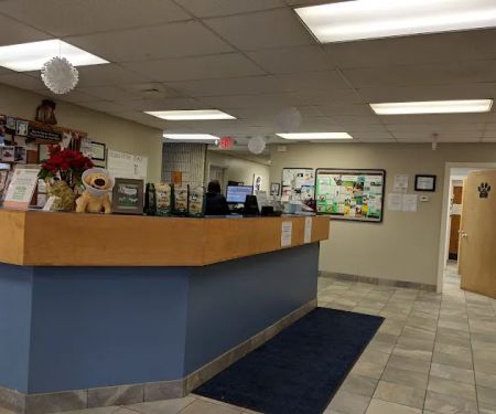 Greylock Animal Hospital