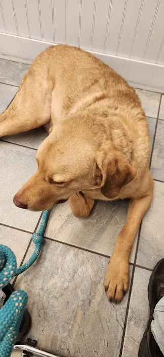 Greylock Animal Hospital Picture 3