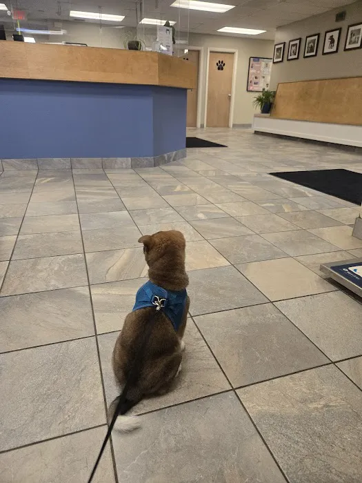 Greylock Animal Hospital Picture 8