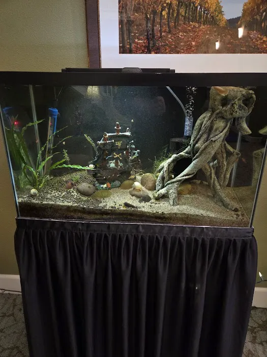 Q's Aquarium Care Picture 9