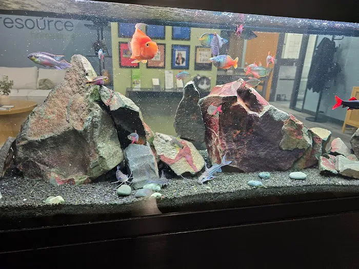 Q's Aquarium Care Picture 8
