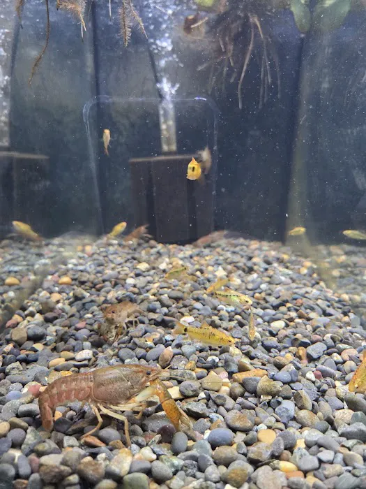 Q's Aquarium Care Picture 2