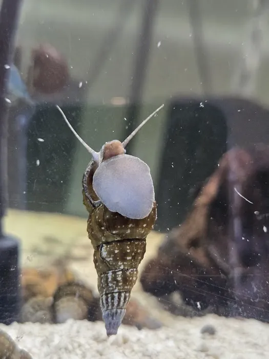 Q's Aquarium Care Picture 3