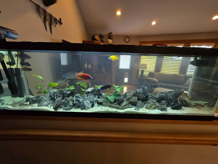 Q's Aquarium Care Picture 7