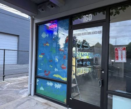 Q's Aquarium Care