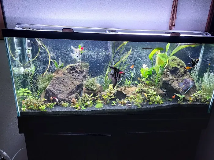 Q's Aquarium Care Picture 10
