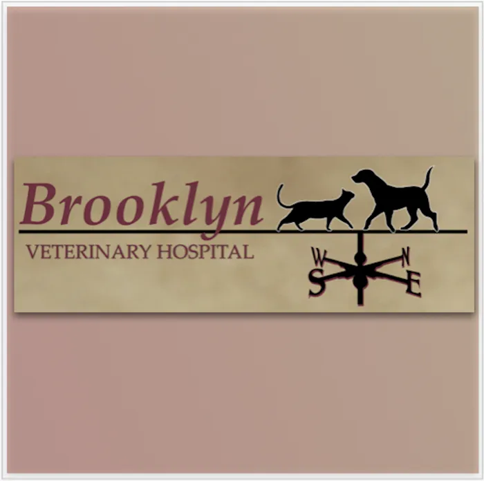 Brooklyn Veterinary Hospital Picture 3
