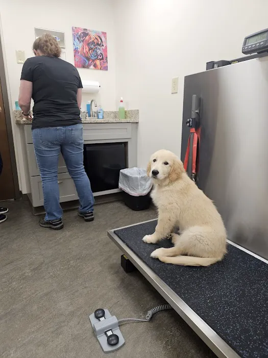 Brooklyn Veterinary Hospital Picture 2