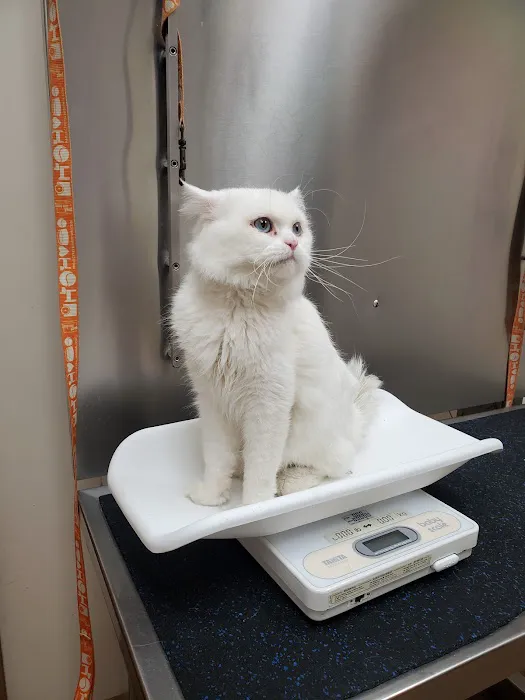 Brooklyn Veterinary Hospital Picture 1