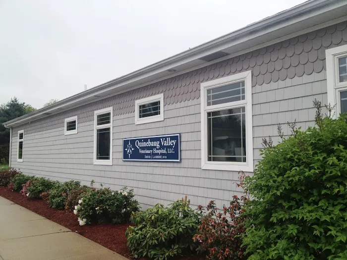 Quinebaug Valley Veterinary Hospital Picture 10