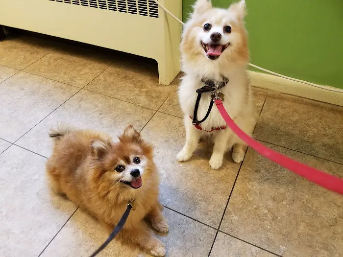 Woodstock Veterinary Clinic Picture 6