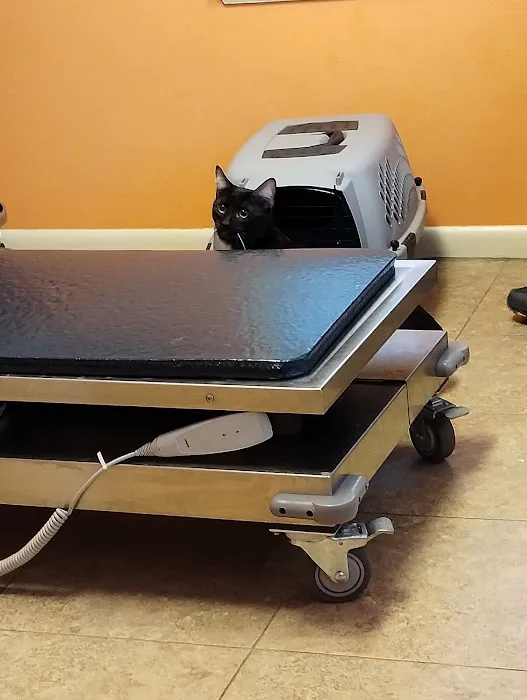 Woodstock Veterinary Clinic Picture 9