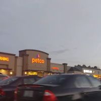 Petco ico