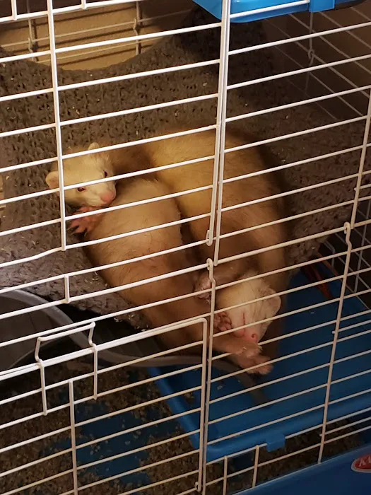 Petco Picture 10