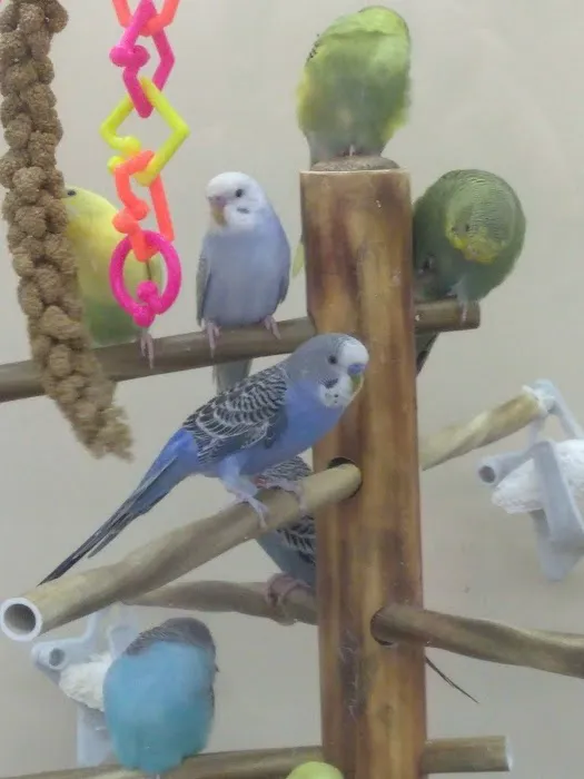 Petco Picture 4