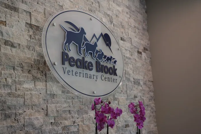 Peake Brook Veterinary Center Picture 8