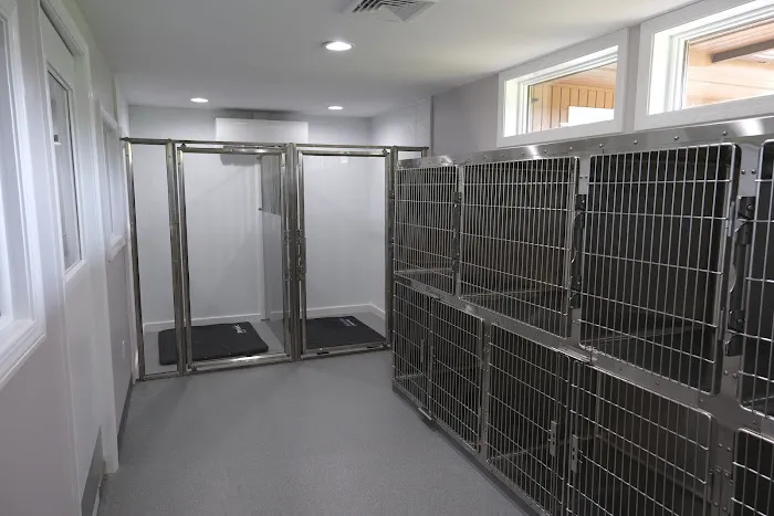 Peake Brook Veterinary Center Picture 7