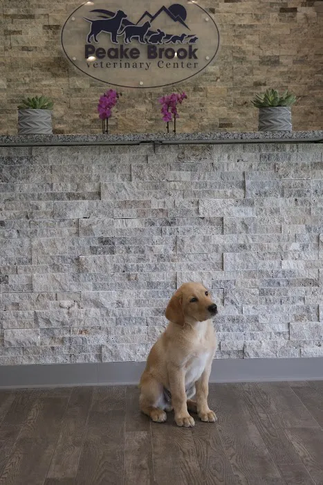 Peake Brook Veterinary Center Picture 5