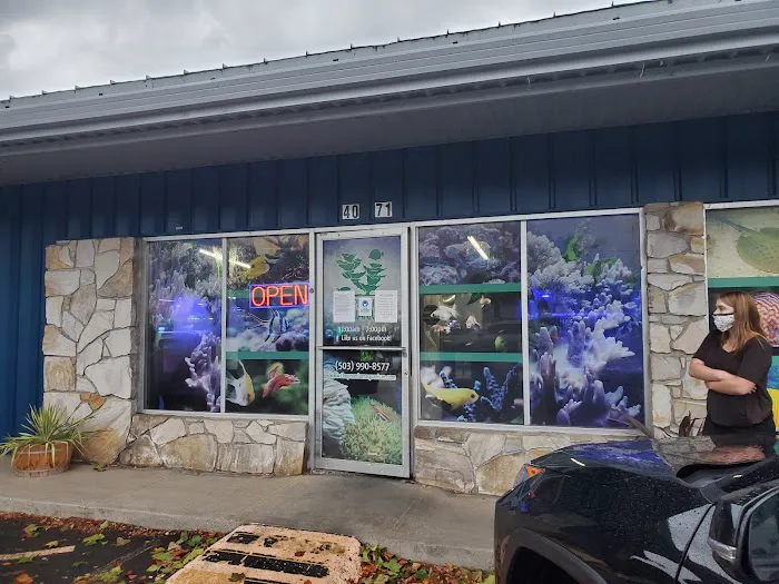 The Premium Aquarium Picture 1