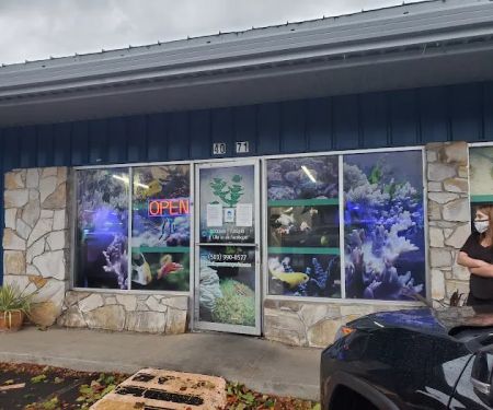 The Premium Aquarium