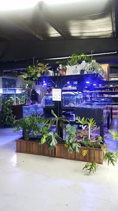 The Premium Aquarium Picture 3