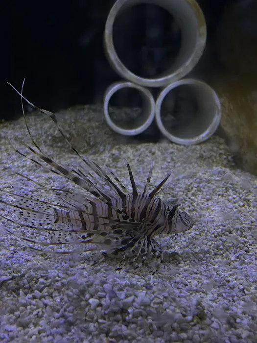 The Premium Aquarium Picture 9