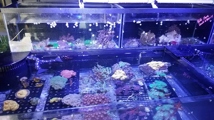 The Premium Aquarium Picture 2