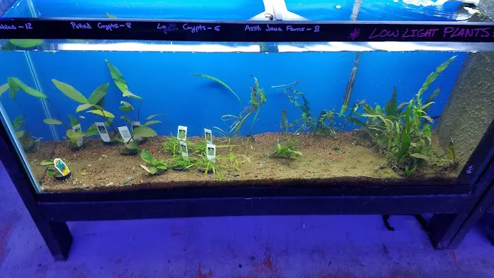 The Premium Aquarium Picture 5