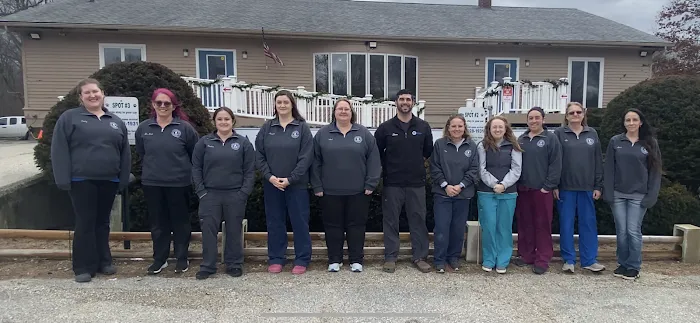 Animal Hospital of Putnam Picture 10