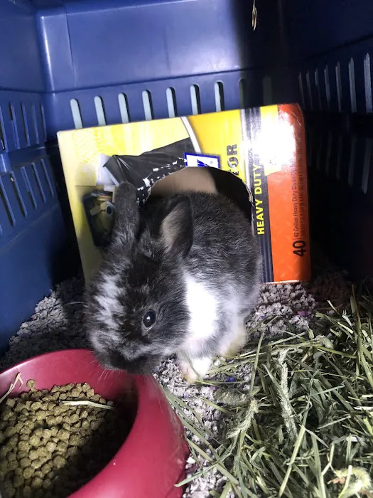 Animal Hospital of Putnam Picture 8