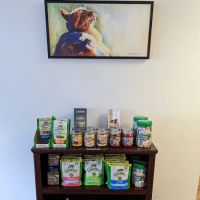 Monson Animal Clinic ico