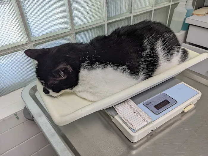 Monson Animal Clinic Picture 2