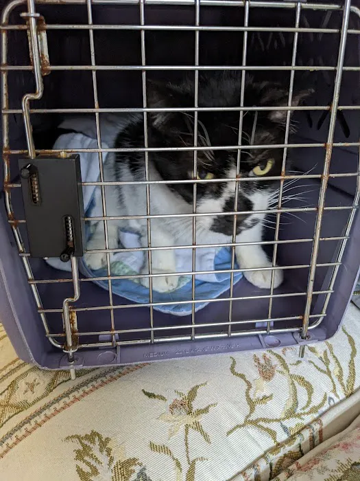Monson Animal Clinic Picture 10