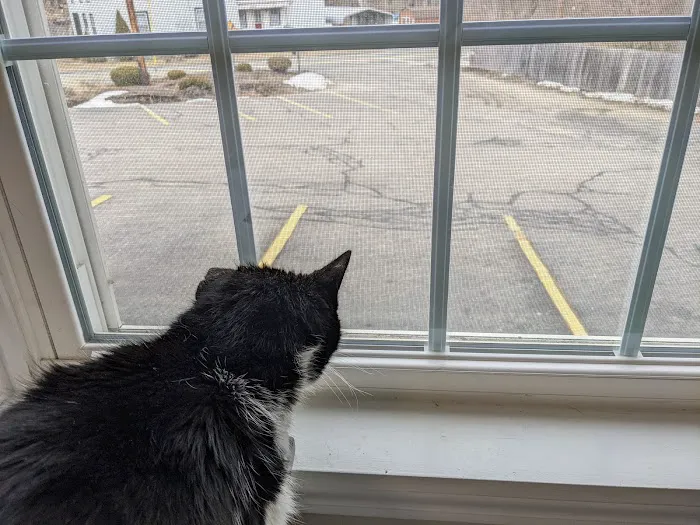 Monson Animal Clinic Picture 6