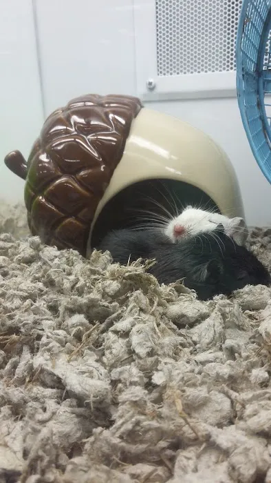 Petco Picture 2