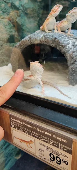 Petco Picture 3
