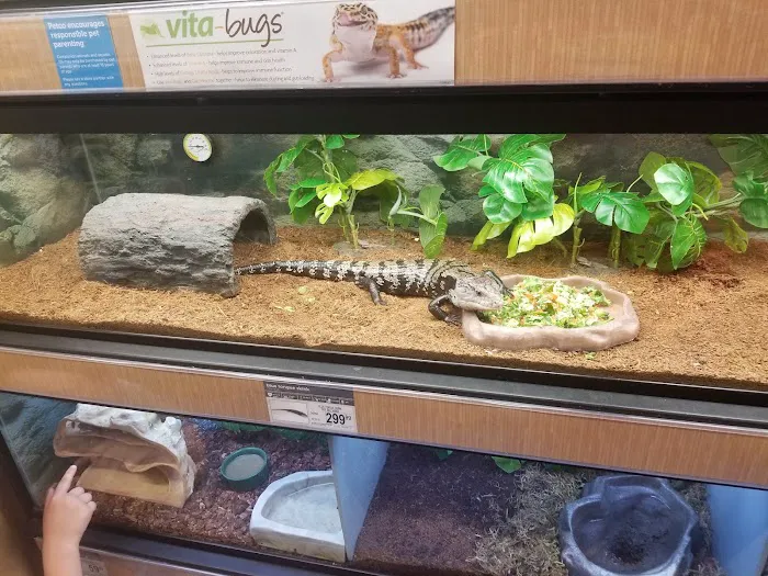 Petco Picture 4