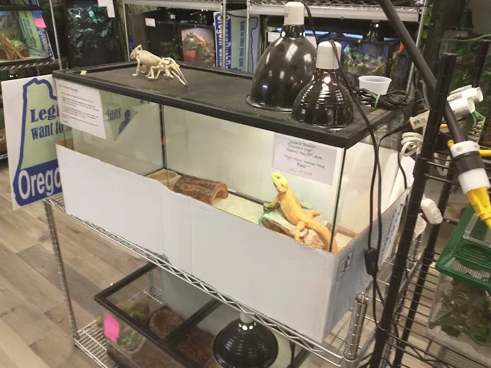 Reptopia Picture 5
