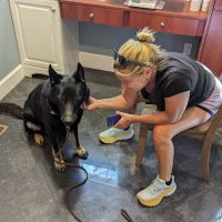 Salt Ponds Animal Hospital ico