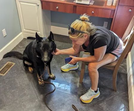Salt Ponds Animal Hospital